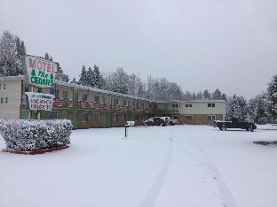 cedars motel