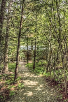 bonners ferry log inn