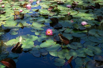bonners ferry log inn