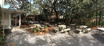 hibiscus coffee and guesthouse