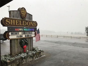 oyo sheldons motel and restaurant