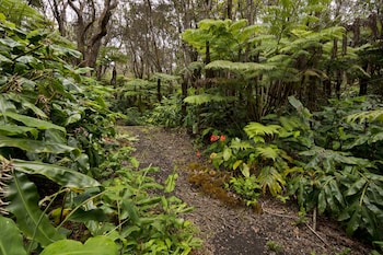hale ohu bed and breakfast