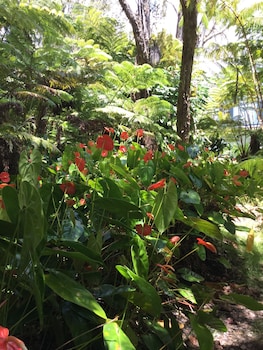 hale ohu bed and breakfast