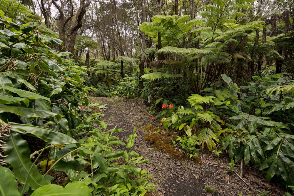 hale ohu bed and breakfast