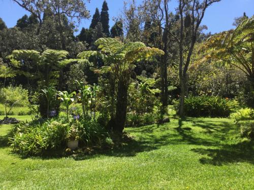 Hale 'Ohu Bed & Breakfast,Volcano>>Hawaii,4 star