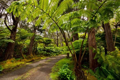 Hale 'Ohu Bed & Breakfast,Volcano>>Hawaii,4 star