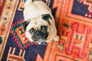 the publishing house bandb