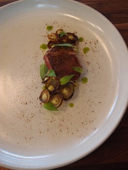 the publishing house bandb