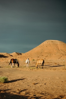dukes slickrock campground and rv park