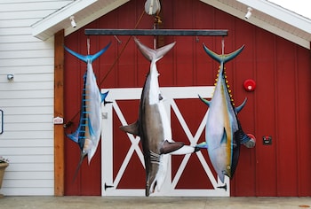 stormy point village lakeside