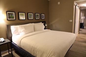 hilton garden inn austin airport