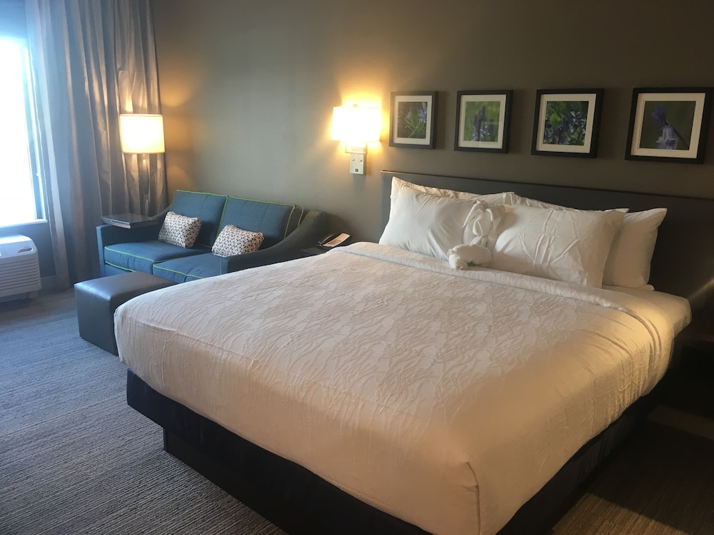 hilton garden inn austin airport