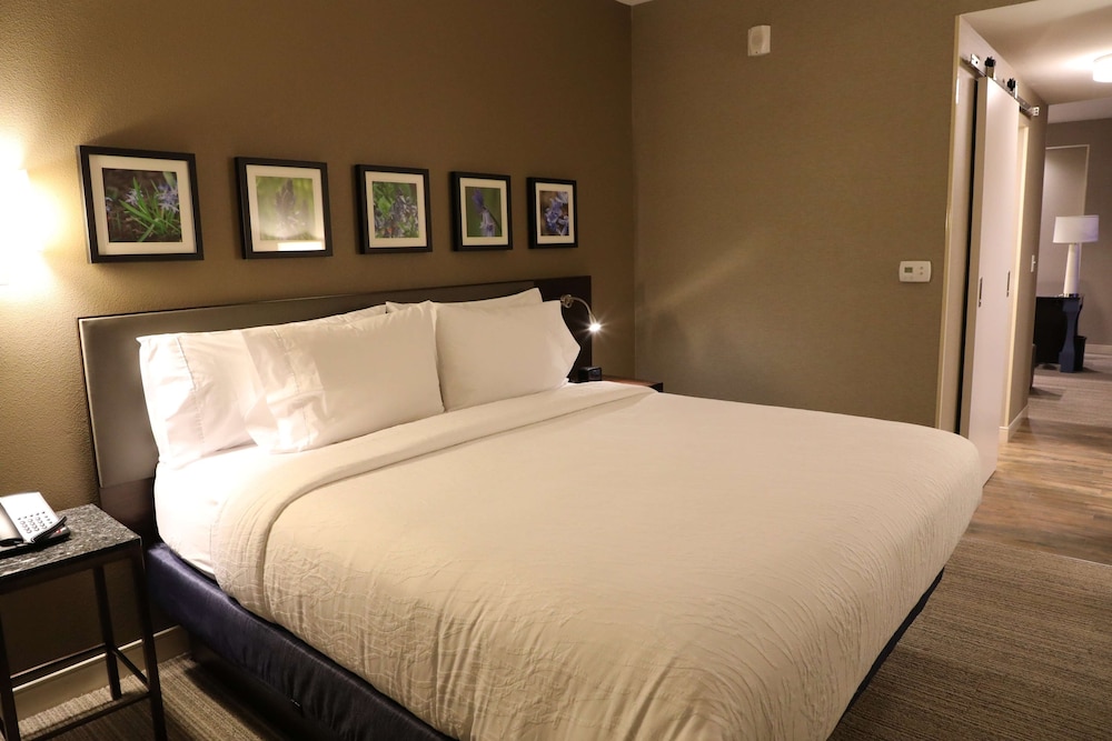 hilton garden inn austin airport