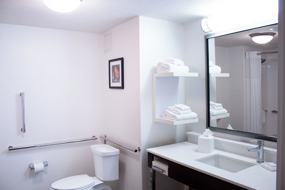 hampton inn big rapids
