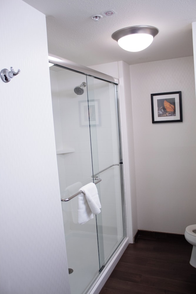 hampton inn big rapids