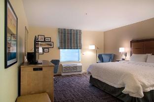 hampton inn big rapids