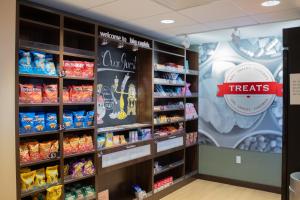 hampton inn big rapids