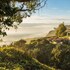 scp mendocino coast lodge