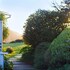 scp mendocino coast lodge