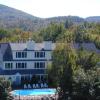 inn at ellis river