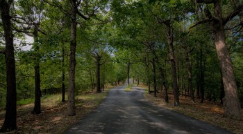 beaver lake cottages