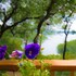 beaver lake cottages