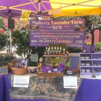 Mulberry Lavender Farm And B&B,Lynchburg>>Fayetteville,3 star