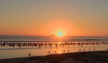 daytona beach shores