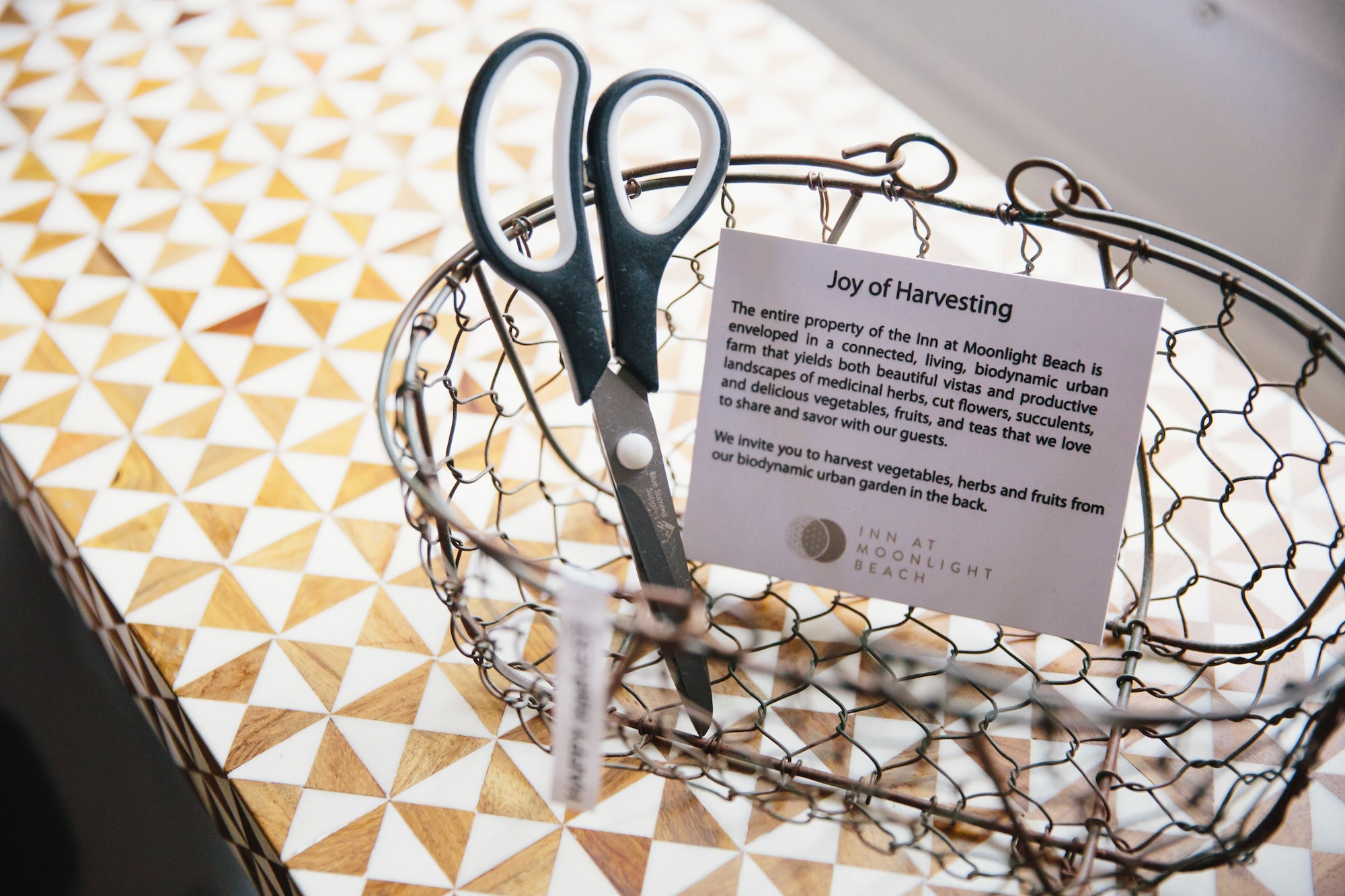 inn at moonlight beach