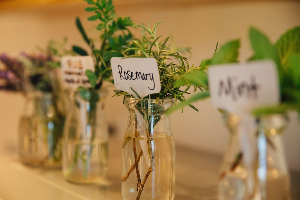 inn at moonlight beach