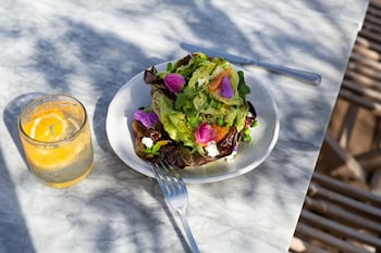 the surfrider malibu