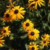 la bastide bed and breakfast
