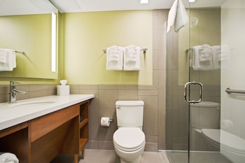 alder hotel uptown new orleans