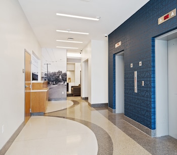 alder hotel uptown new orleans