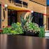 hotel grinnell ascend hotel collection