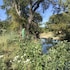 fredericksburg
