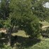 fredericksburg