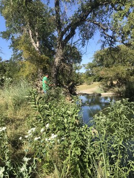 fredericksburg