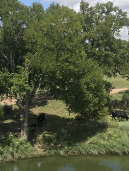 fredericksburg