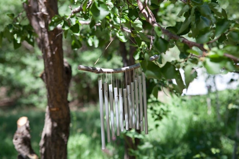 taos goji farm and eco lodge retreat