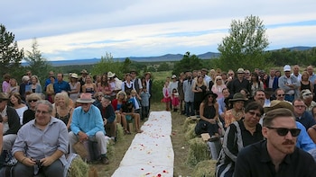 taos goji farm and eco lodge retreat