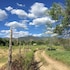 taos goji farm and eco lodge retreat