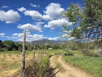 taos goji farm and eco lodge retreat