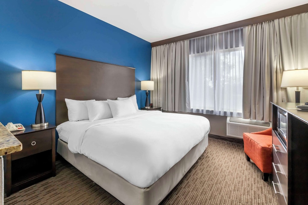 comfort inn and suites