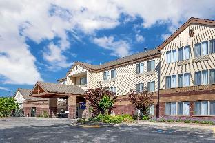 comfort inn and suites