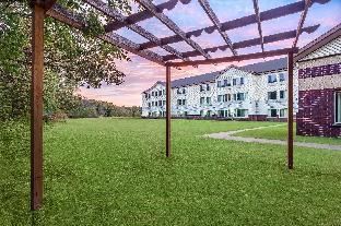comfort inn and suites
