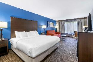 comfort inn and suites