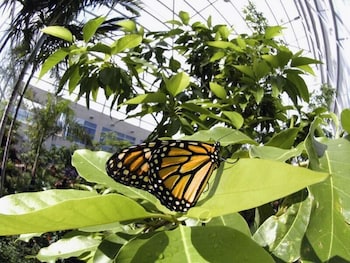 fairfield inn and suites by marriott gainesville i 75