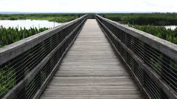fairfield inn and suites by marriott gainesville i 75