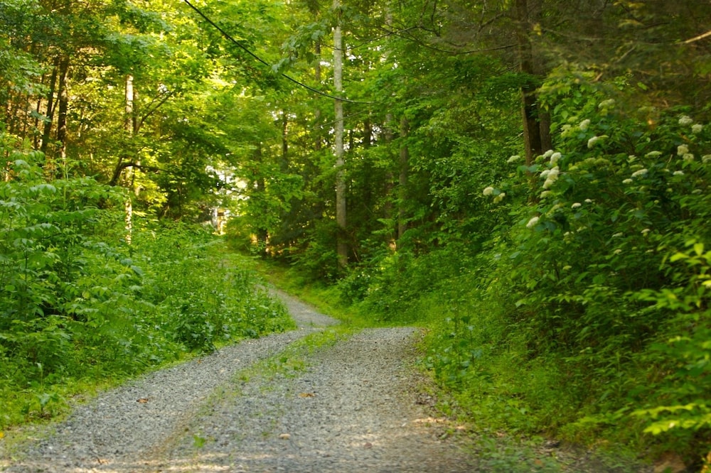 gatlinburg adventure cabins